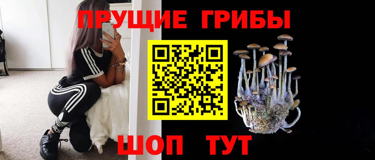 Зима  Псилоцибиновые грибы Cubensis  Вход с VPN 