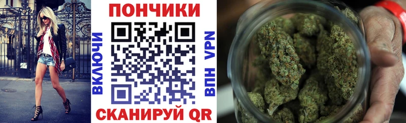 Марихуана план  Зима 